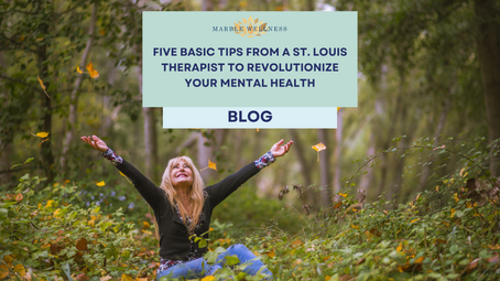 Five Basic Tips from a St. Louis Therapist To Revolutionize Your Mental Health