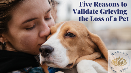 Five Reasons To Validate Grieving The Loss Of A Pet