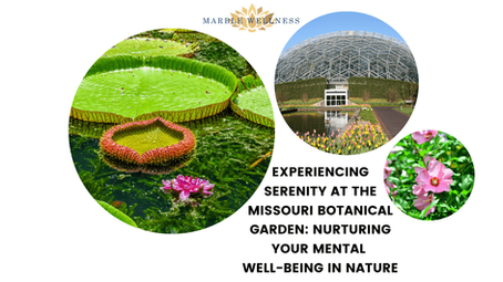 Experiencing Serenity at the Missouri Botanical Garden: Nurturing Your Mental Well-being in Nature
