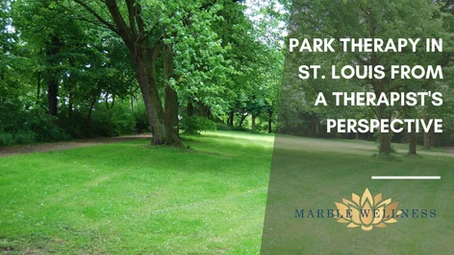 Park Therapy in St. Louis from a Therapist’s Perspective