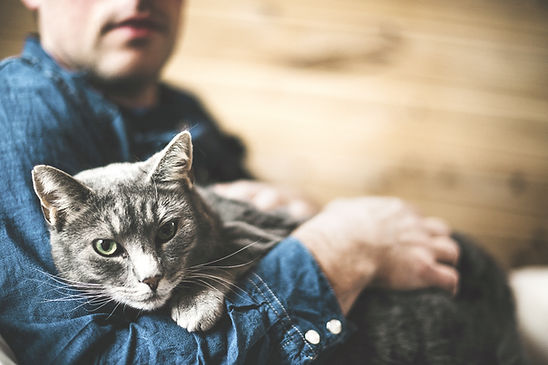 A man holds his gray cat. If you've lost a pet in Missouri or Illinois, grief therapy at Marble Wellness can help you.