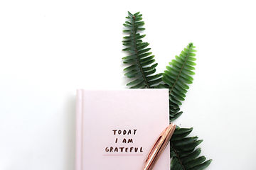 Gratitude journal with a fern behind it. When health anxiety has you stressed, the practice of gratitude can help with anxiety management. STL therapists at Marble Wellness can provide counseling for chronic illness and anxiety therapy in-person, virtually, or in the park.