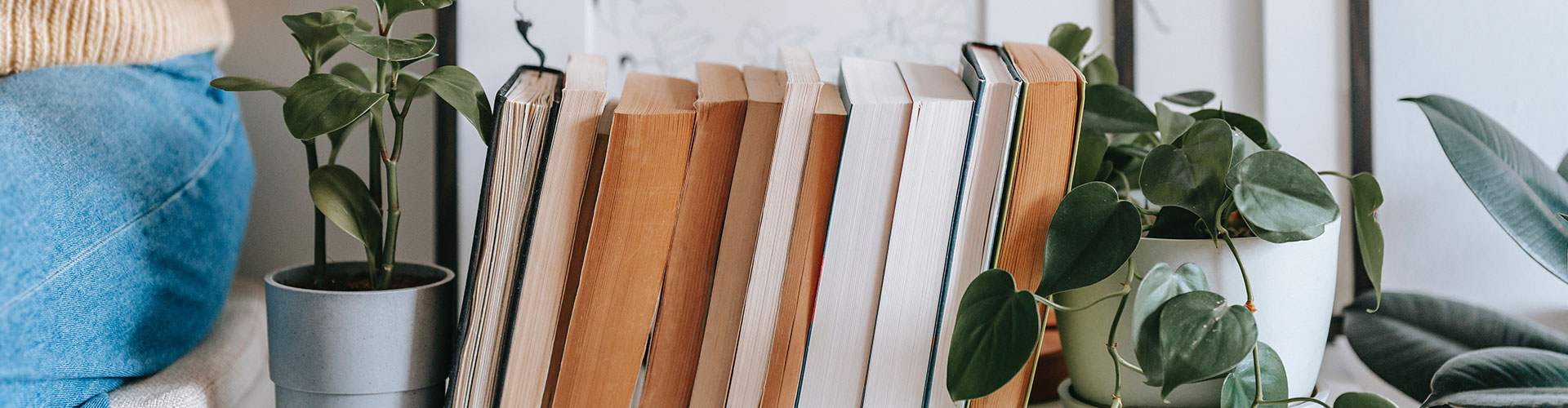 Photo of a dresser with some books and plants on top of it and a woman sitting beside them. Here you can find detailed information about therapy and psychology-related topics that will help you with your questions or concerns. 
