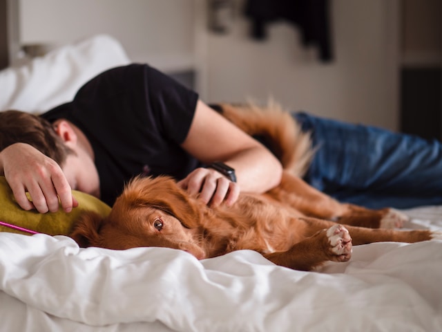Man lays on bed with small dog sleeping. Depression may cause changes in sleeping patterns. Marble Wellness specializes in men's mental health. Reach out today to get started.