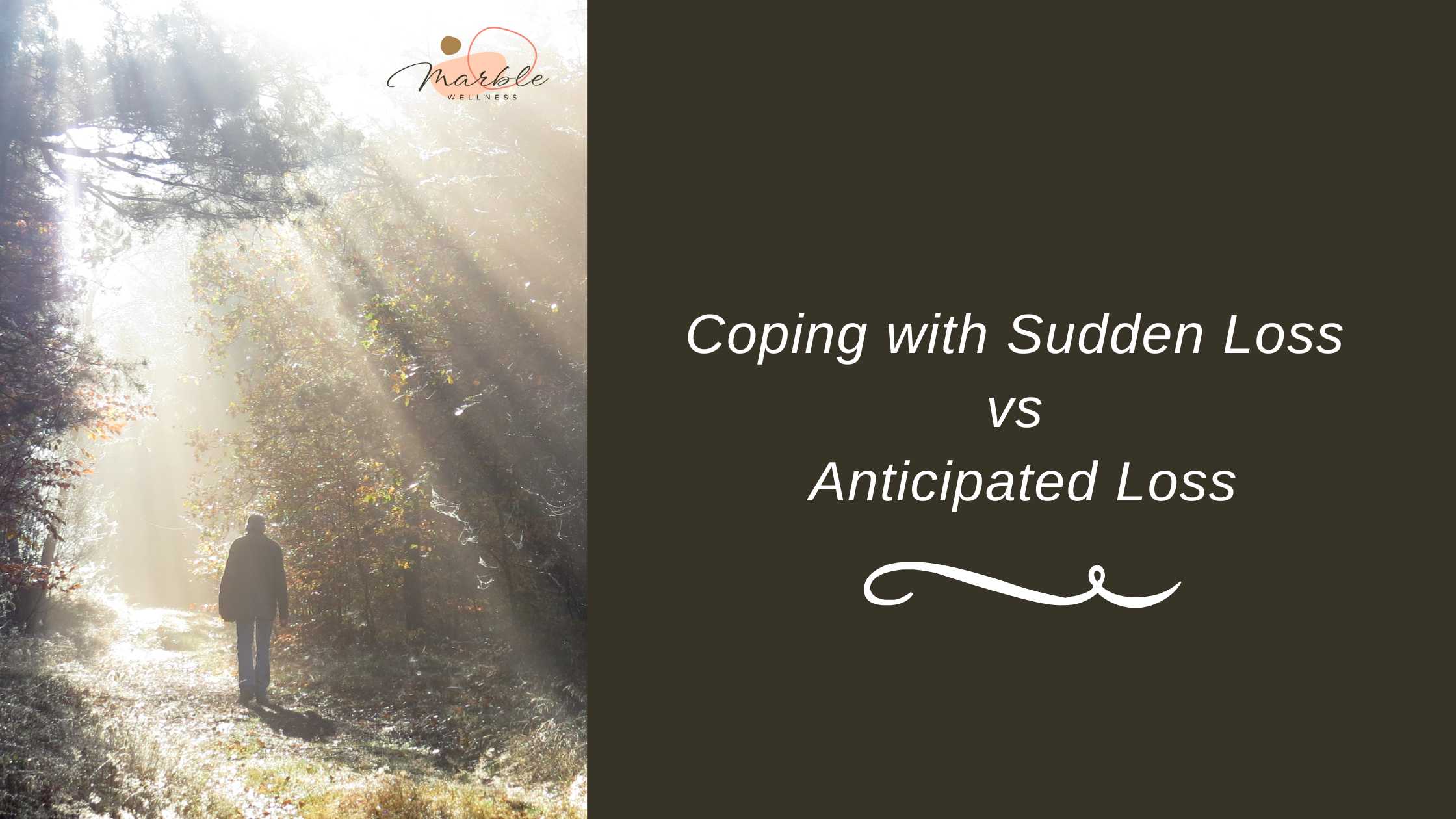 Blog post cover for Coping with Sudden Loss vs. Anticipated Loss: Strategies and Insights from a STL therapist in West County, MO. Sun's rays are shining down on a person walking in a park.