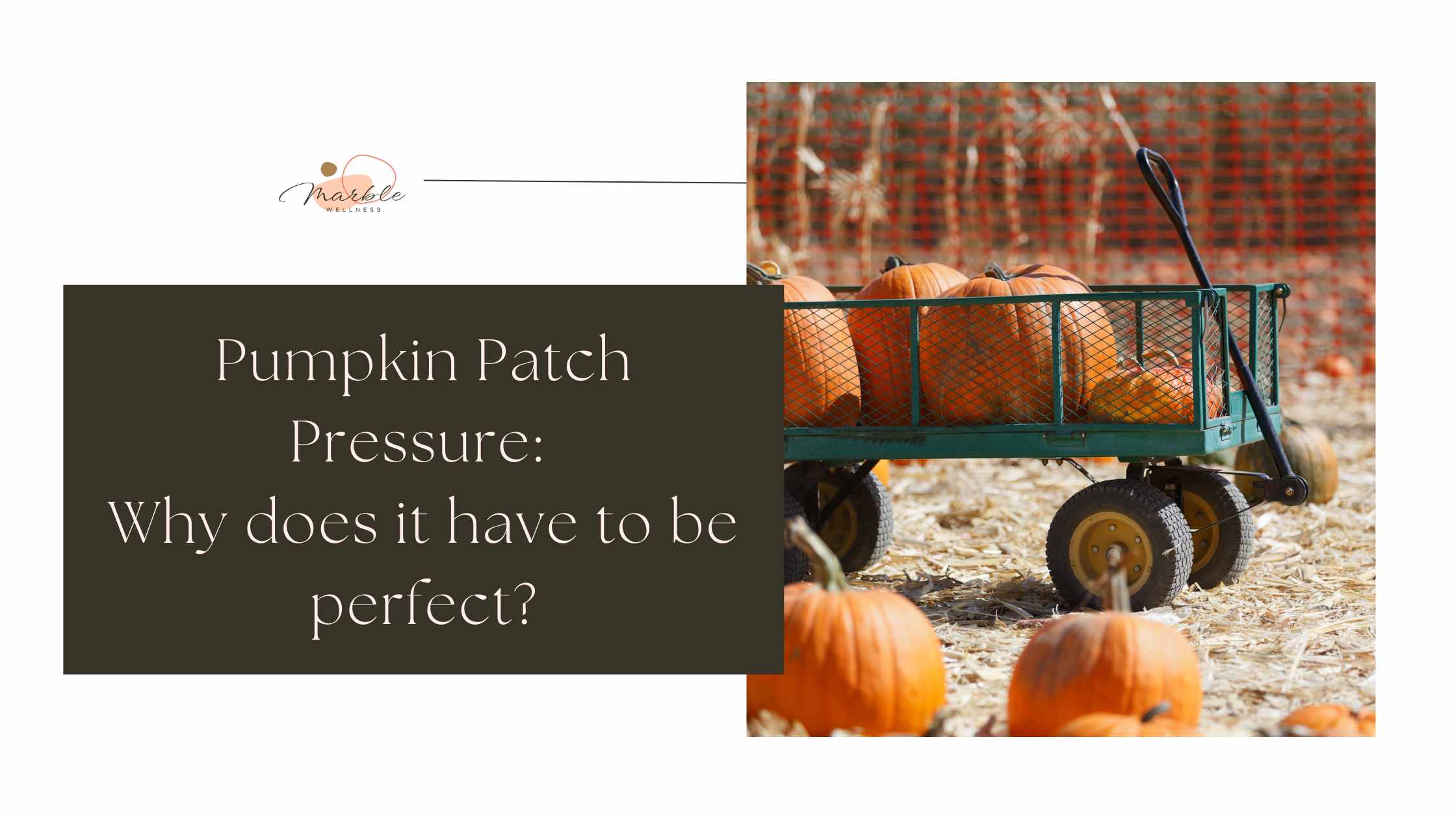 Photo of a cart in a pumpkin patch full of pumpkins. Let's talk about "Pumpkin Patch Pressure: Why does it have to be perfect?" with a Ballwin, MO mom therapist. Get therapy for moms, dads, families, couples therapy and more here.