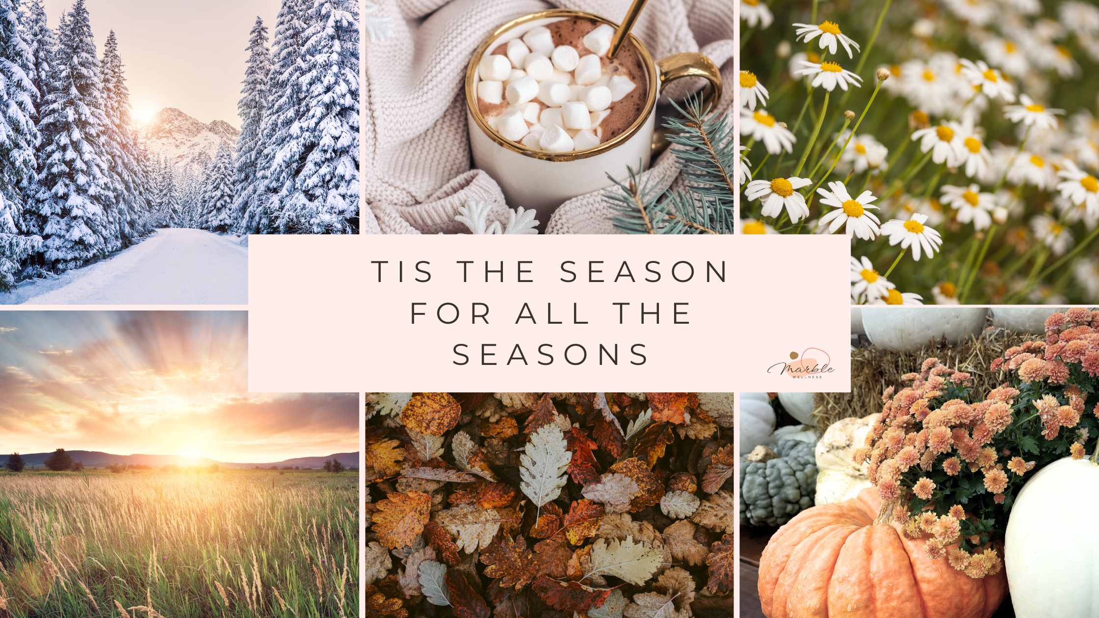 ‘Tis the Season for All the Seasons: Managing the Flurry of Fall in St. Louis